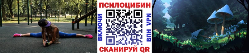 Купить где  Чухлома  Псилоцибиновые грибы мухоморы 